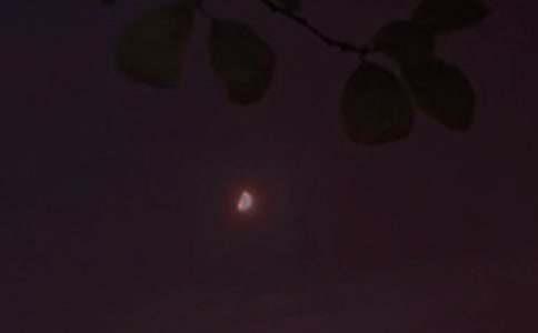 2024��ʵ�õ���ů������QQ�ʺ���46��