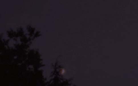 ����΢���ʺ���ϼ�38��