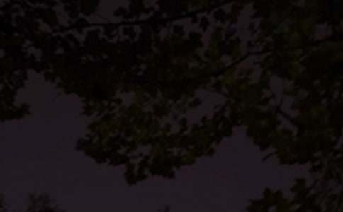 ������ܰ�������Ի��ܣ�ͨ��180�䣩