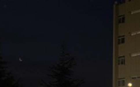 ��������������΢���ʺ�����51��