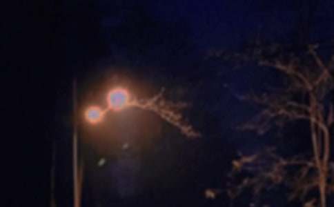 推荐温馨晚安感言汇总115句