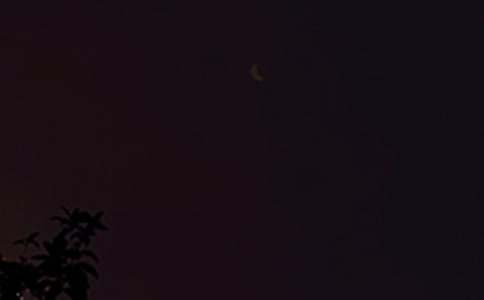 2024�꾫ѡ��������������Ȧ�ʺ��Ｏ��60��