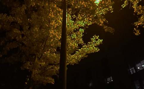 ������־����ף���ͨ��115�䣩