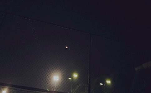 2026�꾭����ů�������ʺ������65��