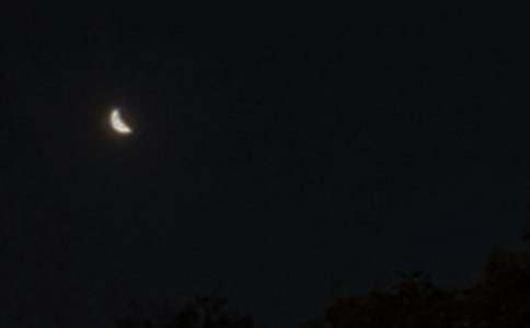 2025��򵥵������ʺ������ժ¼72��