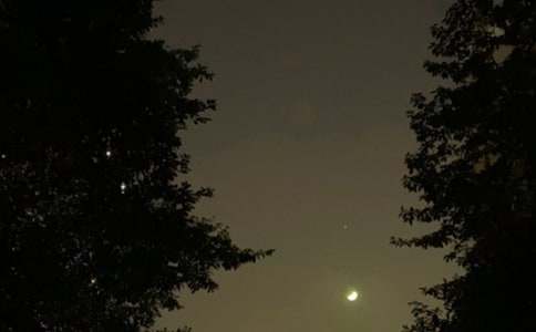 �Ƽ�Ψ���������Ի���175��