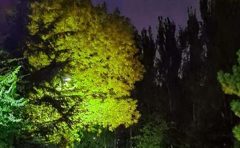 �����š�2024����ů������΢���ʺ������77��