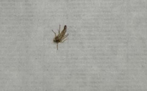 ʵ�õ���������600��4ƪ