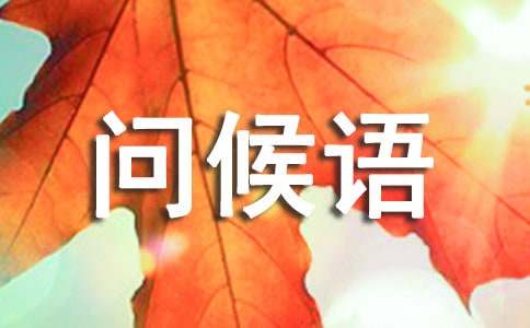 �����ʺ���15ƪ