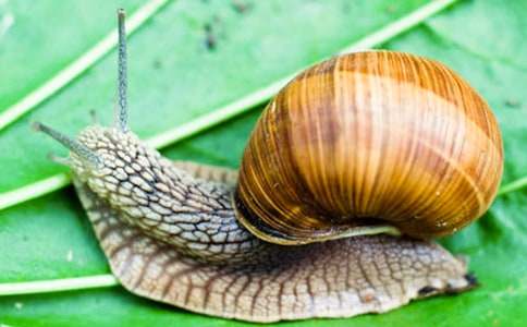 ����Ʒ����ţ����600��