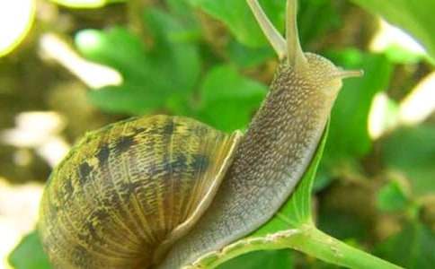 ��ţ����300�ֻ���[4ƪ]