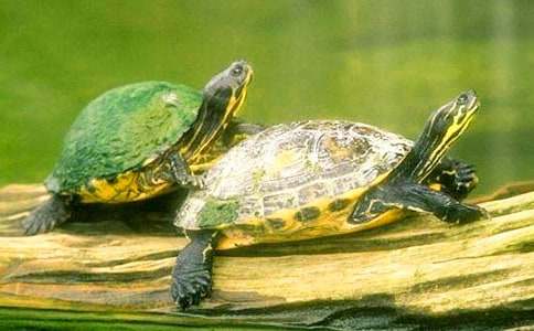 С�ڹ����꼶����