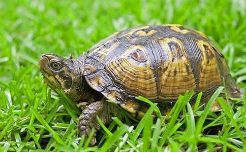 �ҵĶ��������ڹ����ģ���15ƪ��