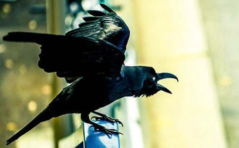 ��ѻ��ˮ����600��