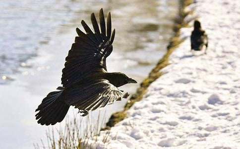 ���ڡ���ѻ��ˮ���̰����6ƪ