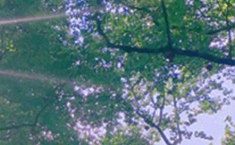 2024���������簲�ʺ�����ż���63��