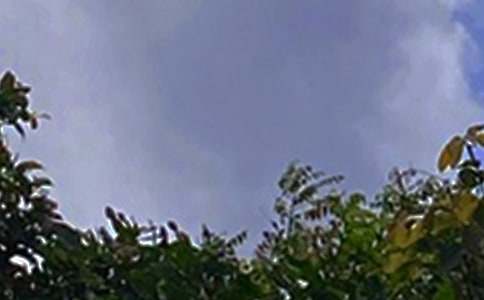 2024�����õ��簲�ʺ�����ż���81��