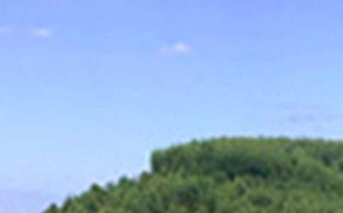 �簲���ԣ�ͨ��80�䣩