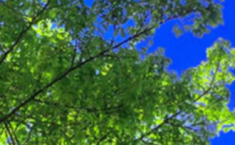 �����������簲���Դ�ȫ100�侫ѡ