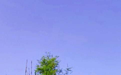 ����ů���簲ף�������100��