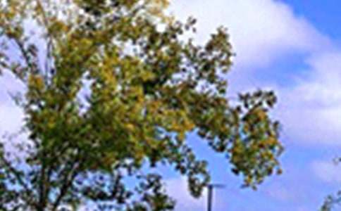 ��ů���簲�ʺ�����Ż���65��