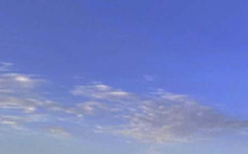 2021��Ψ�����簲΢���ʺ������68��