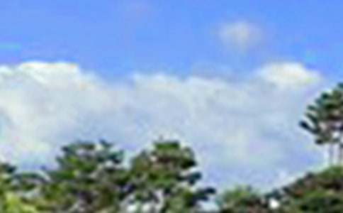 ������ܰ�簲���ԣ�ͨ��100�䣩