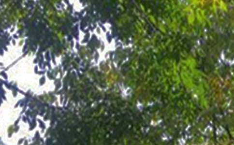 2022����ܰ���簲QQ�ʺ��Ｏ��59��