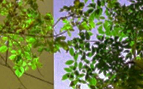 �簲QQ�ʺ���ժ¼94��