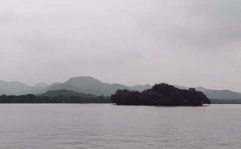 ���꼶��������300�ֻ���ʮƪ