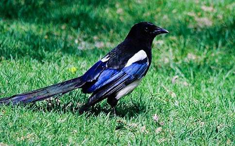 [��Ʒ]ϲȵ����300��15ƪ