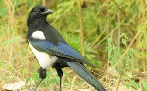 ϲȵ����300�־�ѡ(15ƪ)