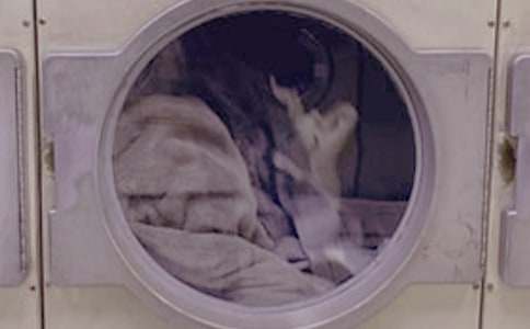 ϴ�·��ռǷ��Ļ���7ƪ