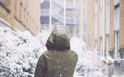 ��ѩ������600��15ƪ�����㣩