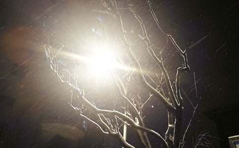 ��ѩ������600�־�ѡ��15ƪ��