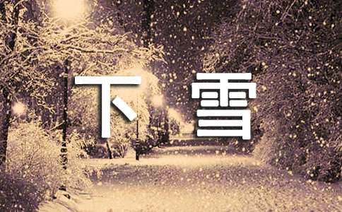 下雪了日记(集合)