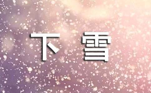 下雪过后的作文500字