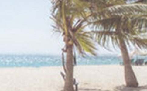 [��Ʒ]�Ұ��ļ�����4ƪ