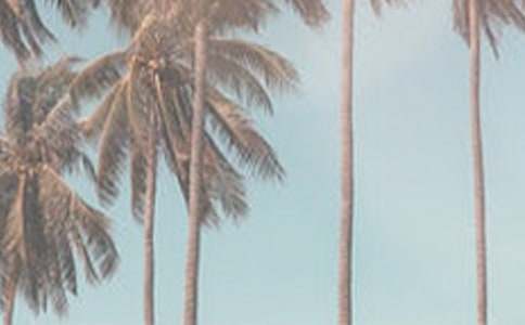 �ļ�ף������