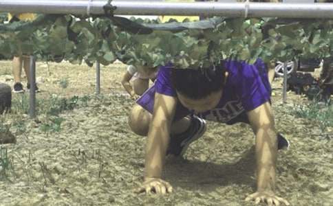 ��ĸ������Ӫ���ӵ�һ����