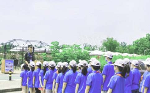 ��������Ӫ���������