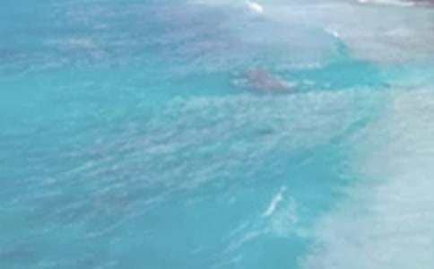 ���ռ�������500��8ƪ(ʵ��)