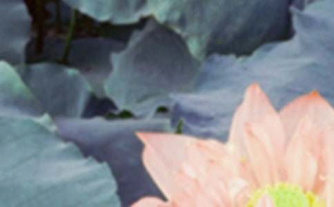 ������δ��������о��䡾15ƪ��