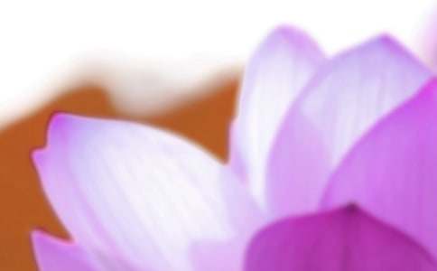 ������ף����