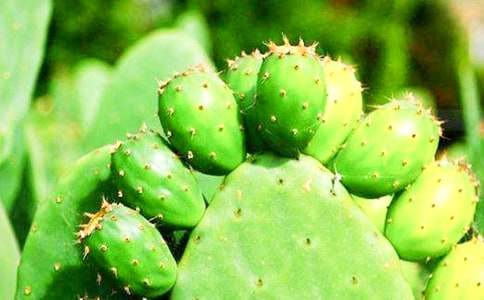 ֲ������������