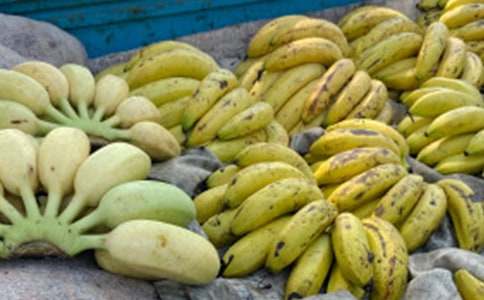 �й��㽶���꼶���Ļ��10ƪ