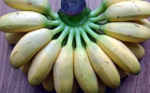 �㽶������300�֡����ϡ�