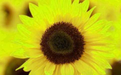 ���˶�ʵ����տ����꼶����