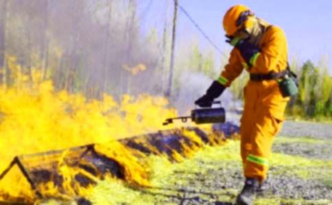 消防团日活动总结