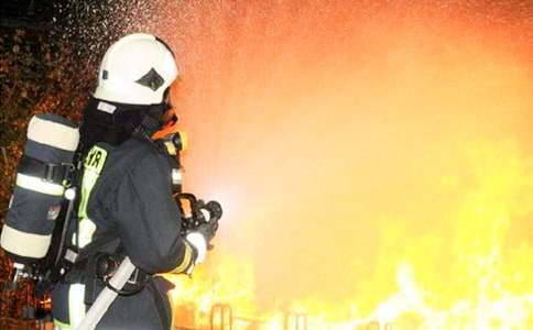 ����Ա���ݽ���